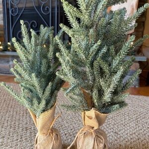 Farmhouse Winter Trees w/Burlap Base. Set of 2. Christmas Decorative Trees.